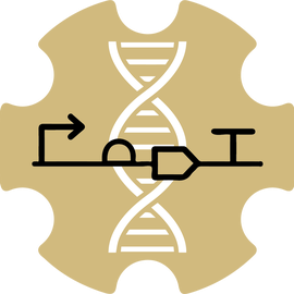 Engineering Genetic Circuits